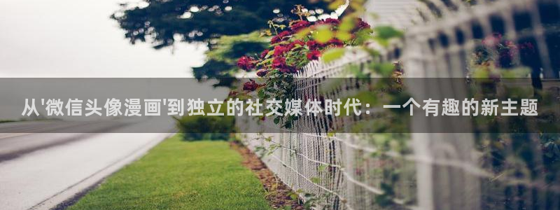 yy漫画 在线：从\'微信头像漫画\'到独立的社交媒体时代：一个有趣的新主题