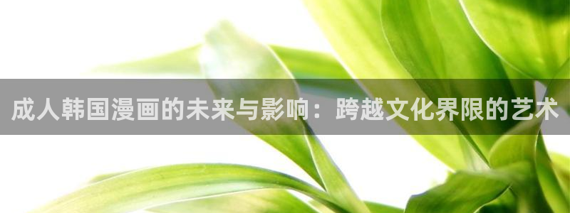 yy漫画yy漫画yy漫画：成人韩国漫画的未来与影响：跨越文化界限的艺术